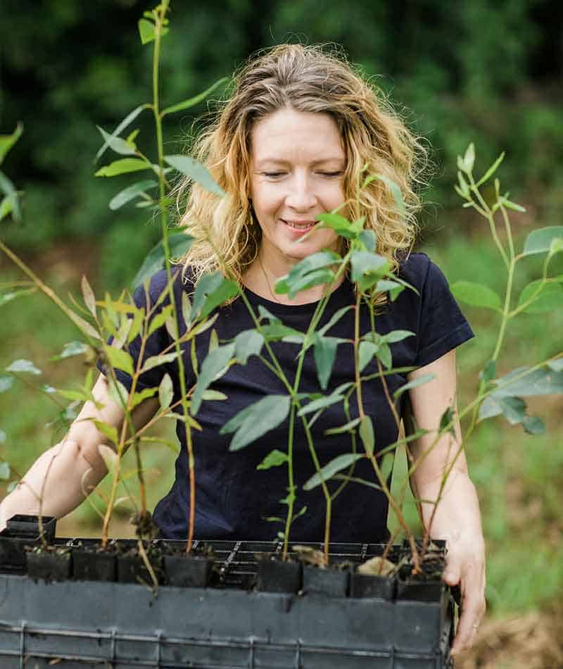 chaffin-works-projects-and-case-studies